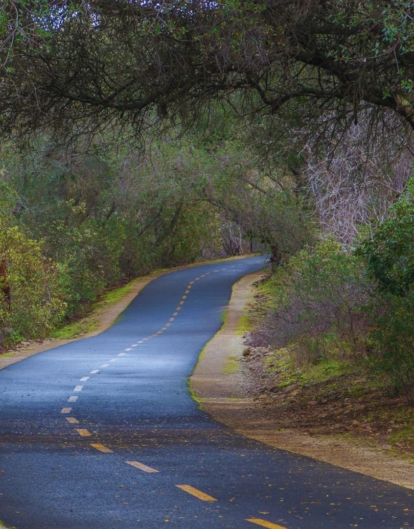 photo of American River Parkway path